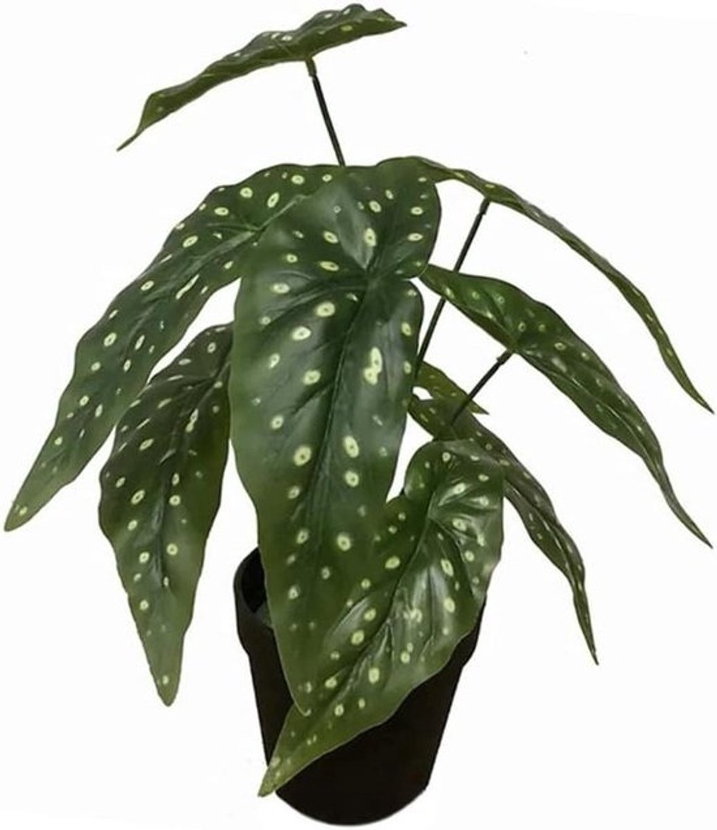 Kunstplant Begonia - Nepplant Kamerplant - Woondecoratie - Realistische Bladeren - 35 cm - Zwart