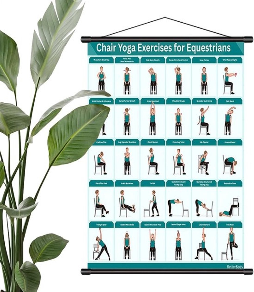 Yoga Poster - Oefenhandleiding - Thuis Fitness - Visuele Hulp - 40 x 60 cm - Blauw