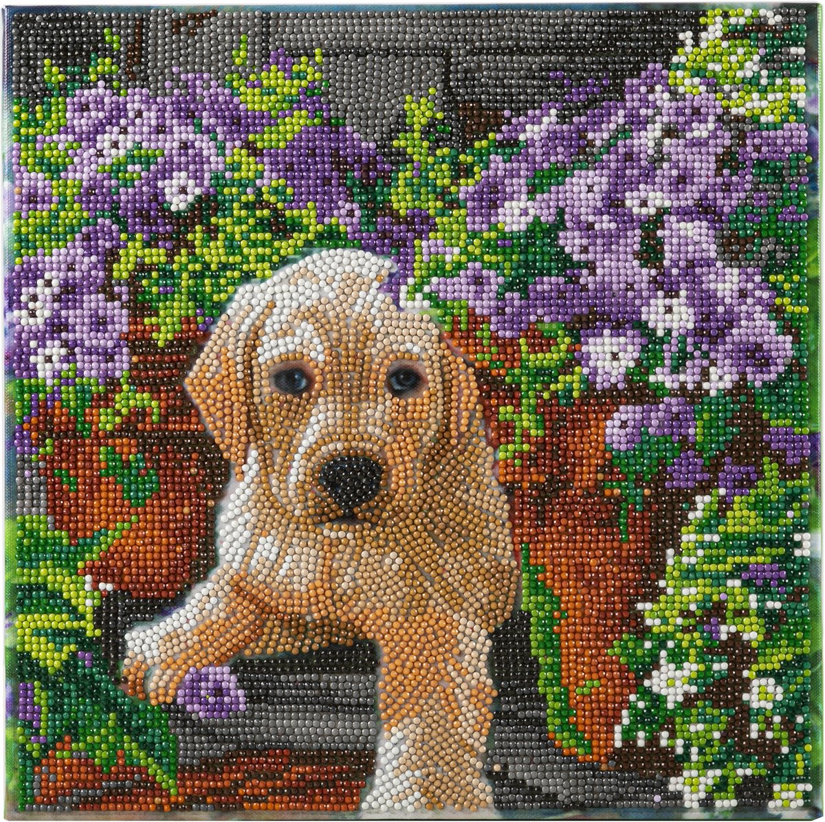 Crystal art diamant painting 30/30 partial pup met bloemen