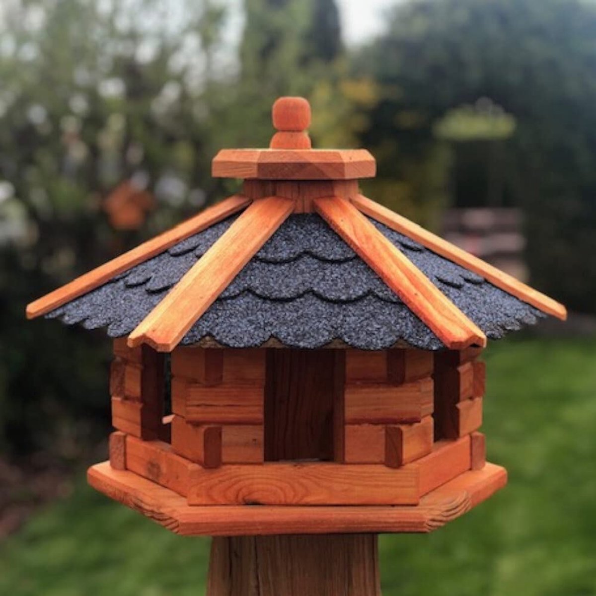 Famanu – Vogelhuis van M tot XL, voederhuis, vogelhuisje met of zonder standaard in bruin met rood, groen of blauw, M zonder standaard, blauw/bruin