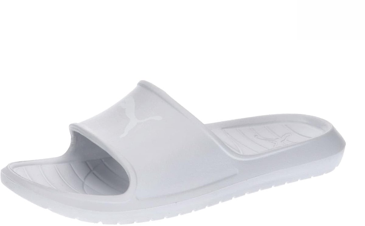 Puma Divecat V2 Lite Cat Slippers Grijs