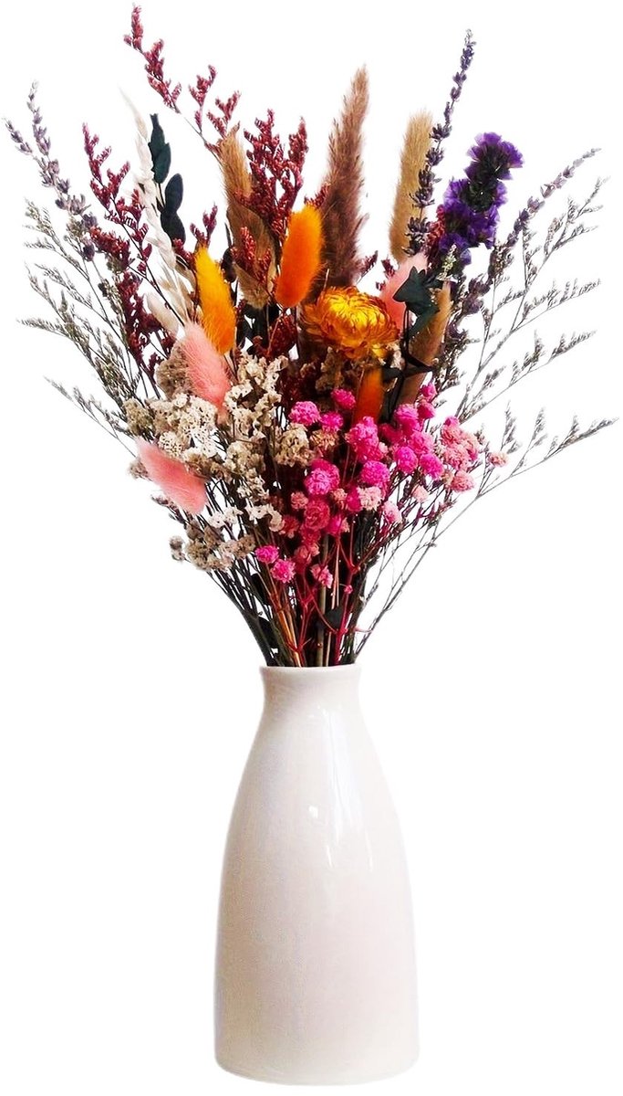 Solidchoice - Set van 35 Gedroogde Bloemen voor Decoratie en Arrangementen