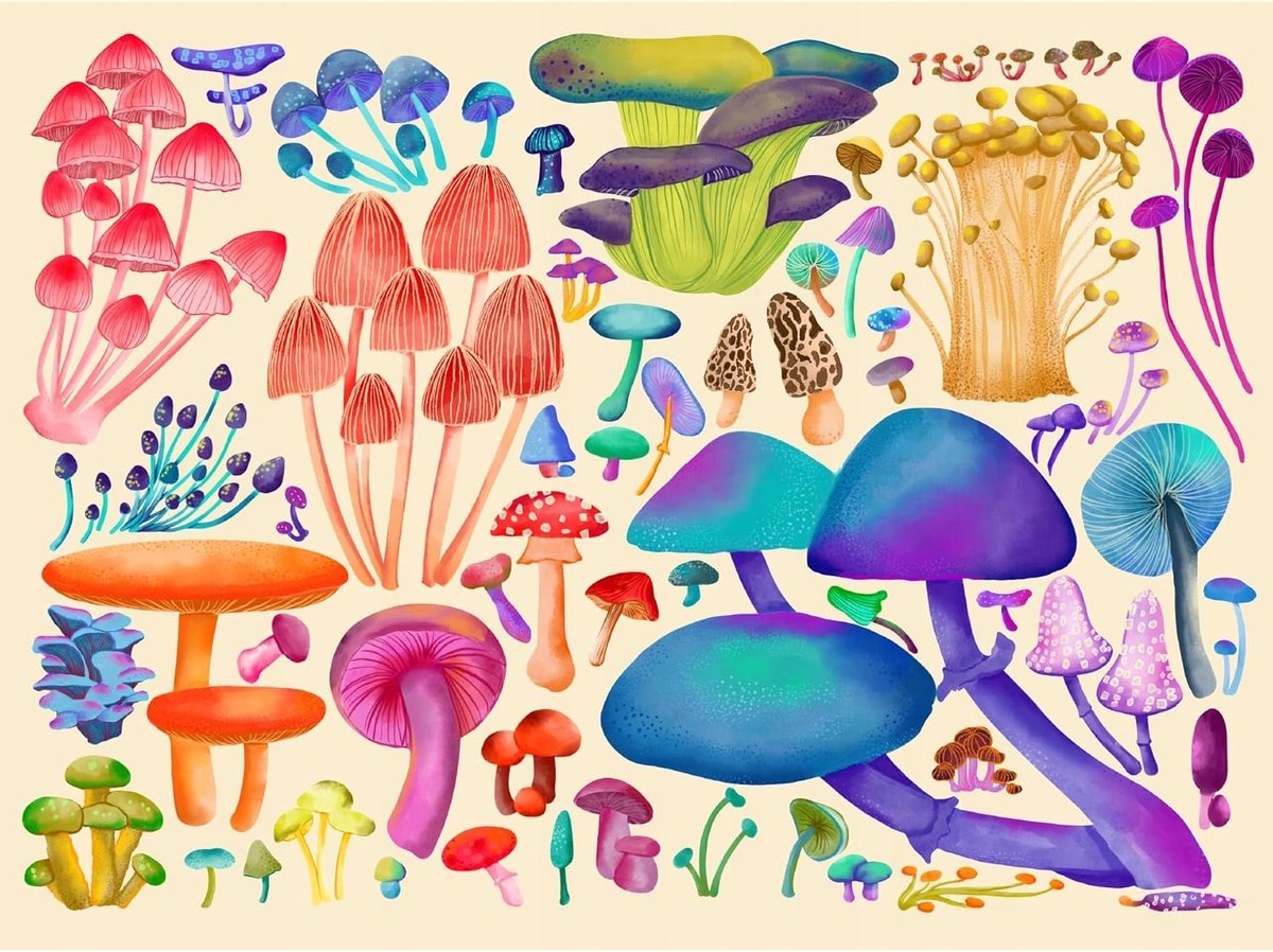 Merkloos Puzzel 1000 Elementen - Fantastische Paddenstoelen