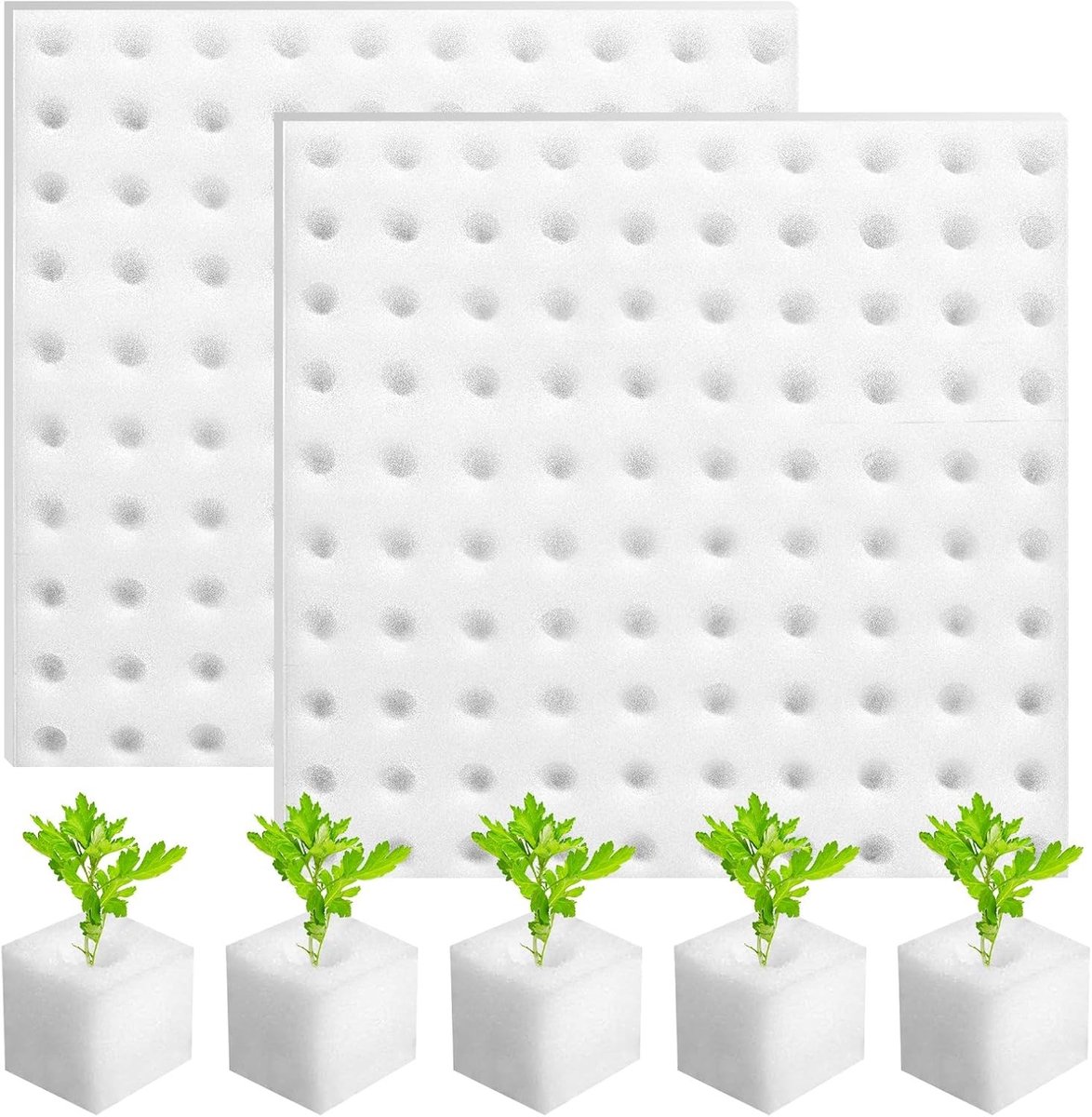 200 Stuks Vierkante Zaai Sponsen voor Hydroponics en Tuinieren, Ideaal voor Stekken en Verplanten van Zaailingen, 25x25x25mm