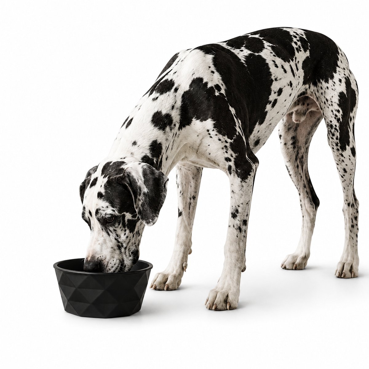 belviona Keramische voerbak hond, antislip & vaatwasserbestendig, 1900 ml mat zwart