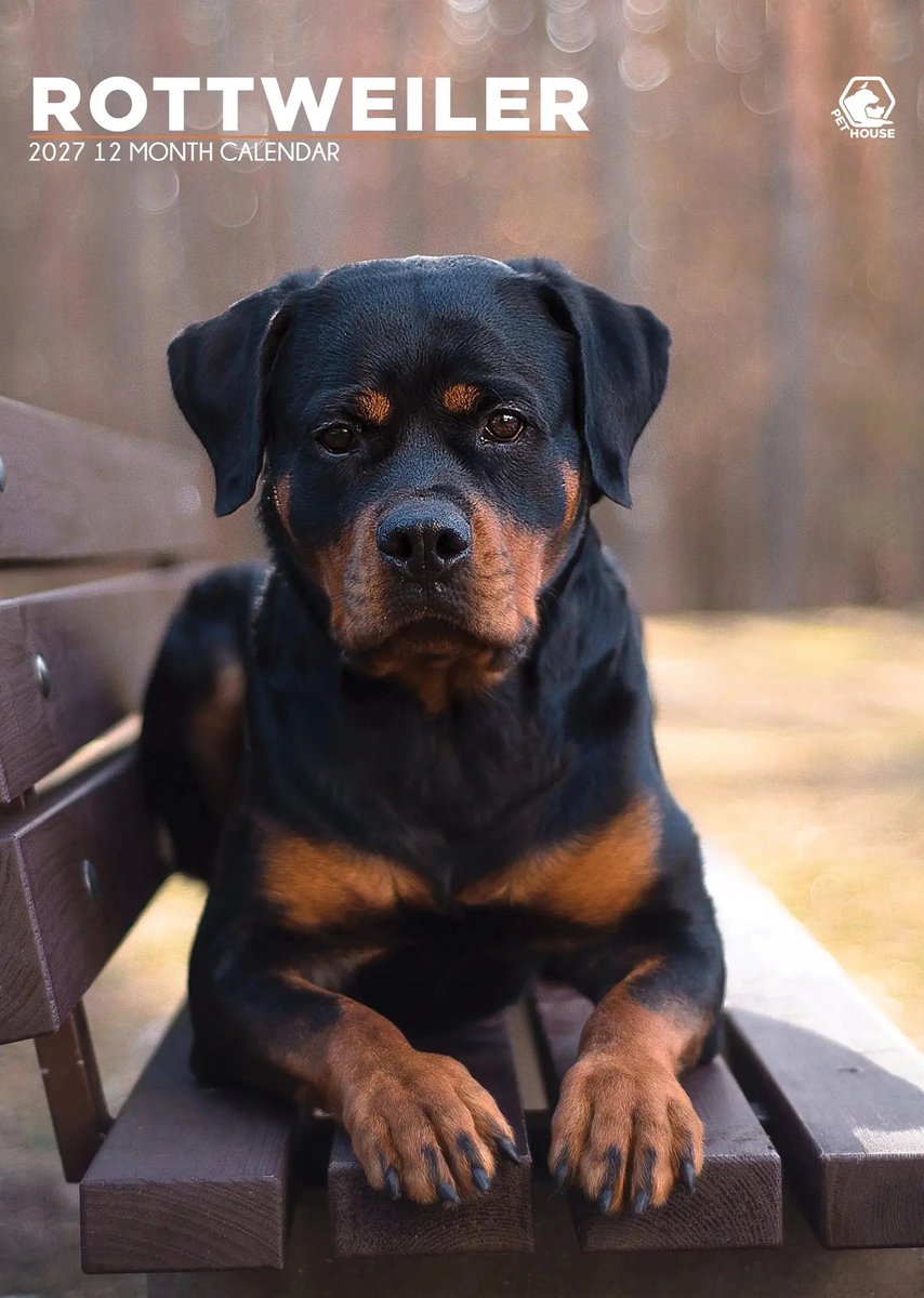 Rottweiler A3 Kalender 2027