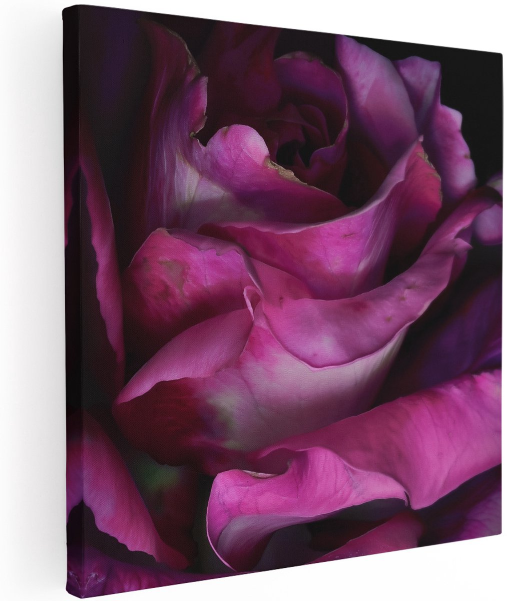 Artaza Canvas Schilderij Close Up van een Paarse Roos op een Zwarte Achtergrond - Bloemen - 100x100 cm - Groot - Wanddecoratie Woonkamer - Schilderijen - Muurdecoratie