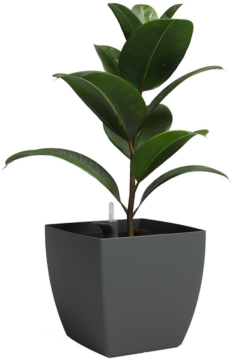 ARTEVASI – SIENA – Vierkante plantenbak – Zelfwaterend SWS – 41,5 L