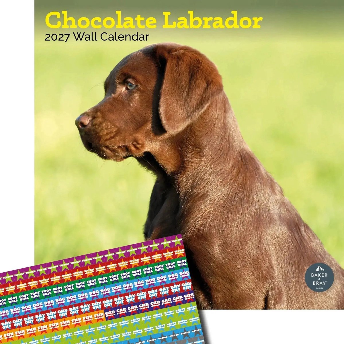 Labrador Retriever Bruin Kalender 2027
