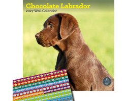 Labrador Retriever Bruin Kalender 2027