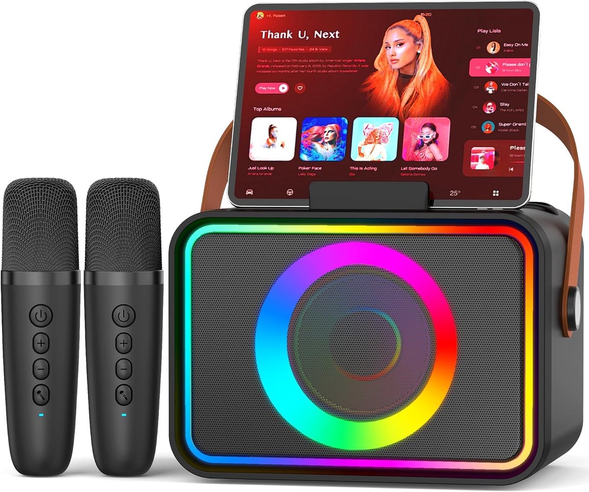 Karaokemachine - 2 microfoons voor volwassenen en kinderen, draagbare Bluetooth luidspreker met feest PA-podium en discolampen, geschenk