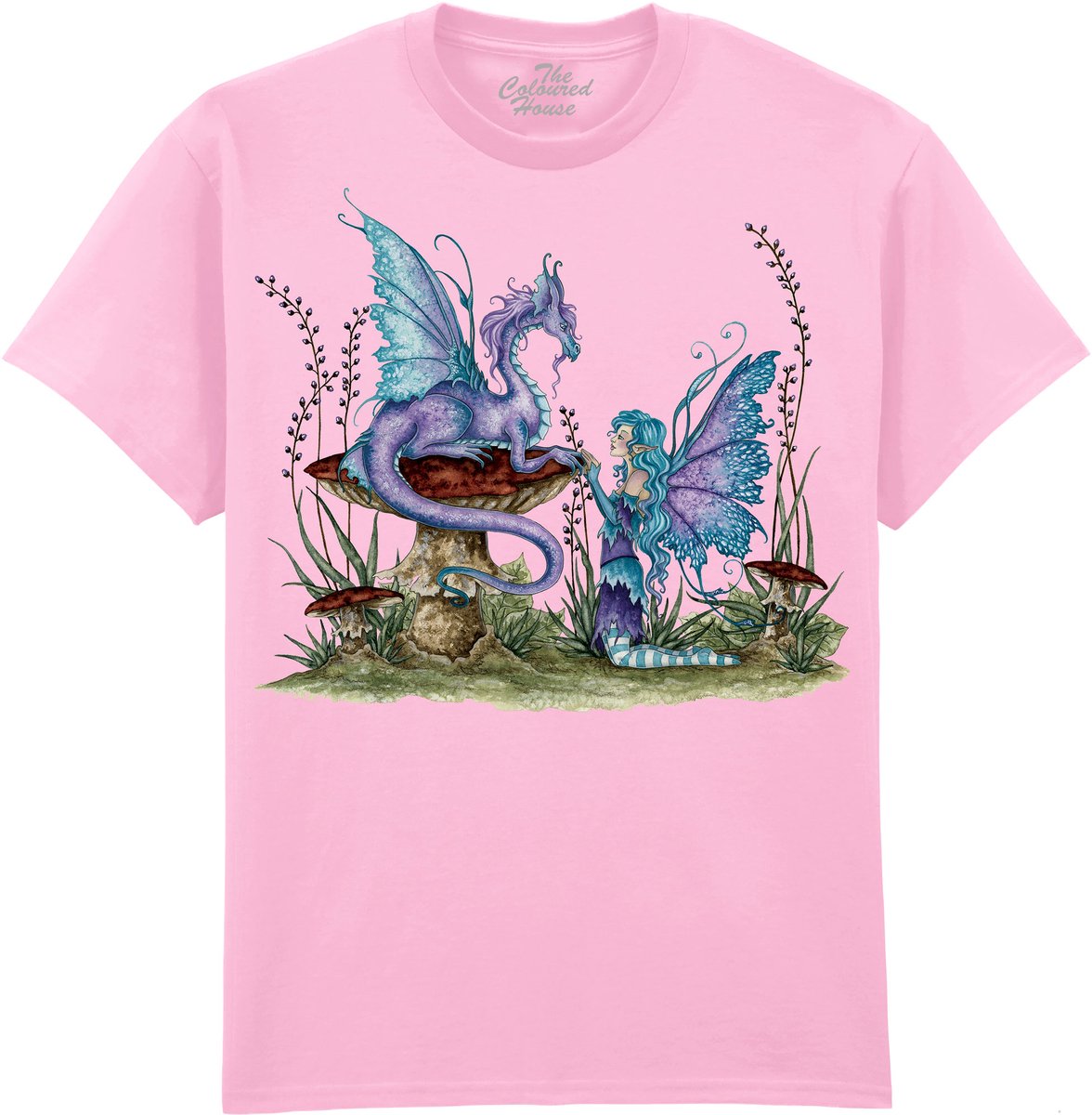 Companions The Coloured House T-shirt 4XL