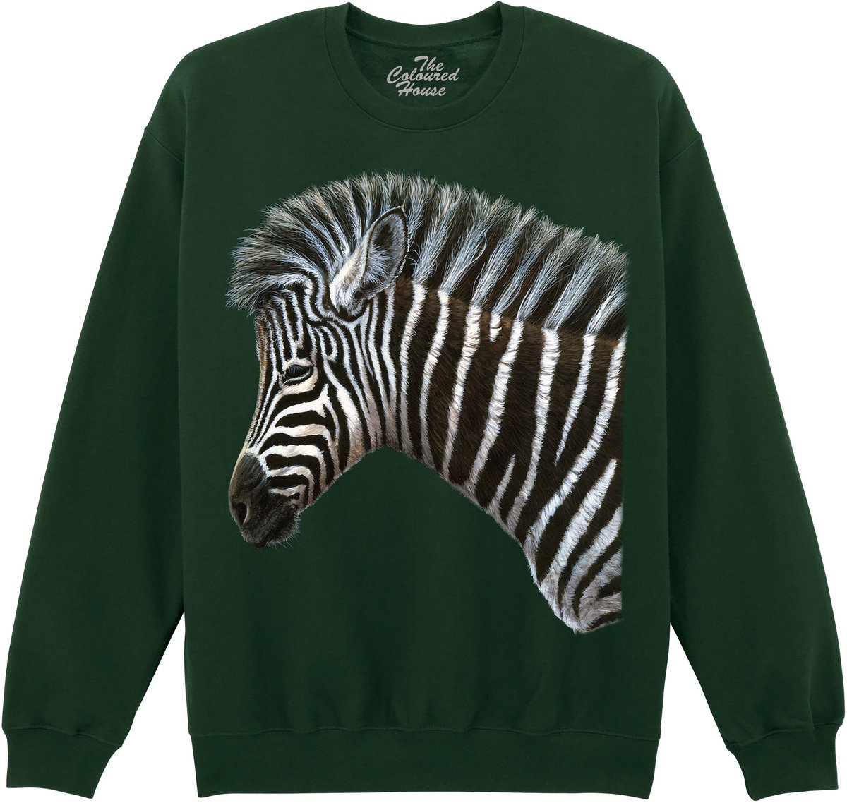 Zebra Foal The Coloured House Sweater XL