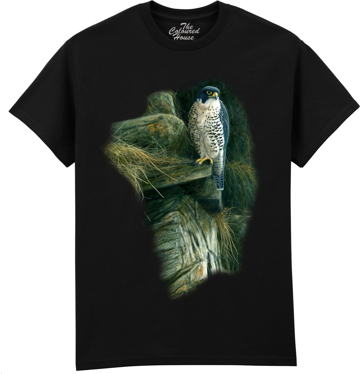 Slechtvalk Peregrine Rock The Coloured House T-shirt S