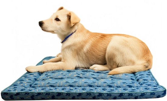 Een jonge hond ligt op een blauw koelmatje met botjes en hondensilhouetten.