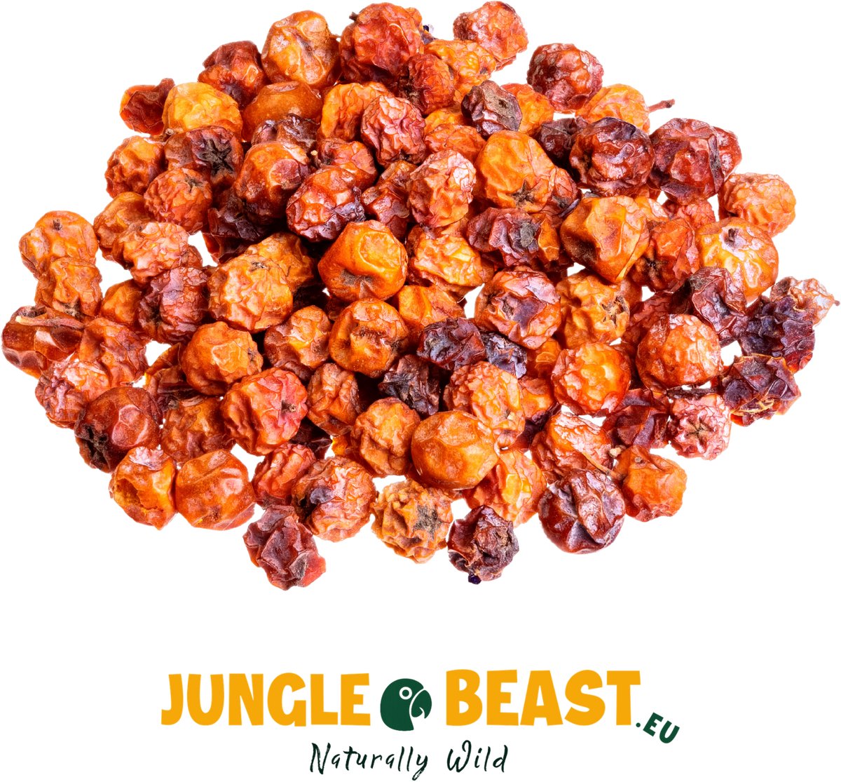 Jungle Beast | Gedroogde Lijsterbessen - Papegaaien - Vogels - 500g
