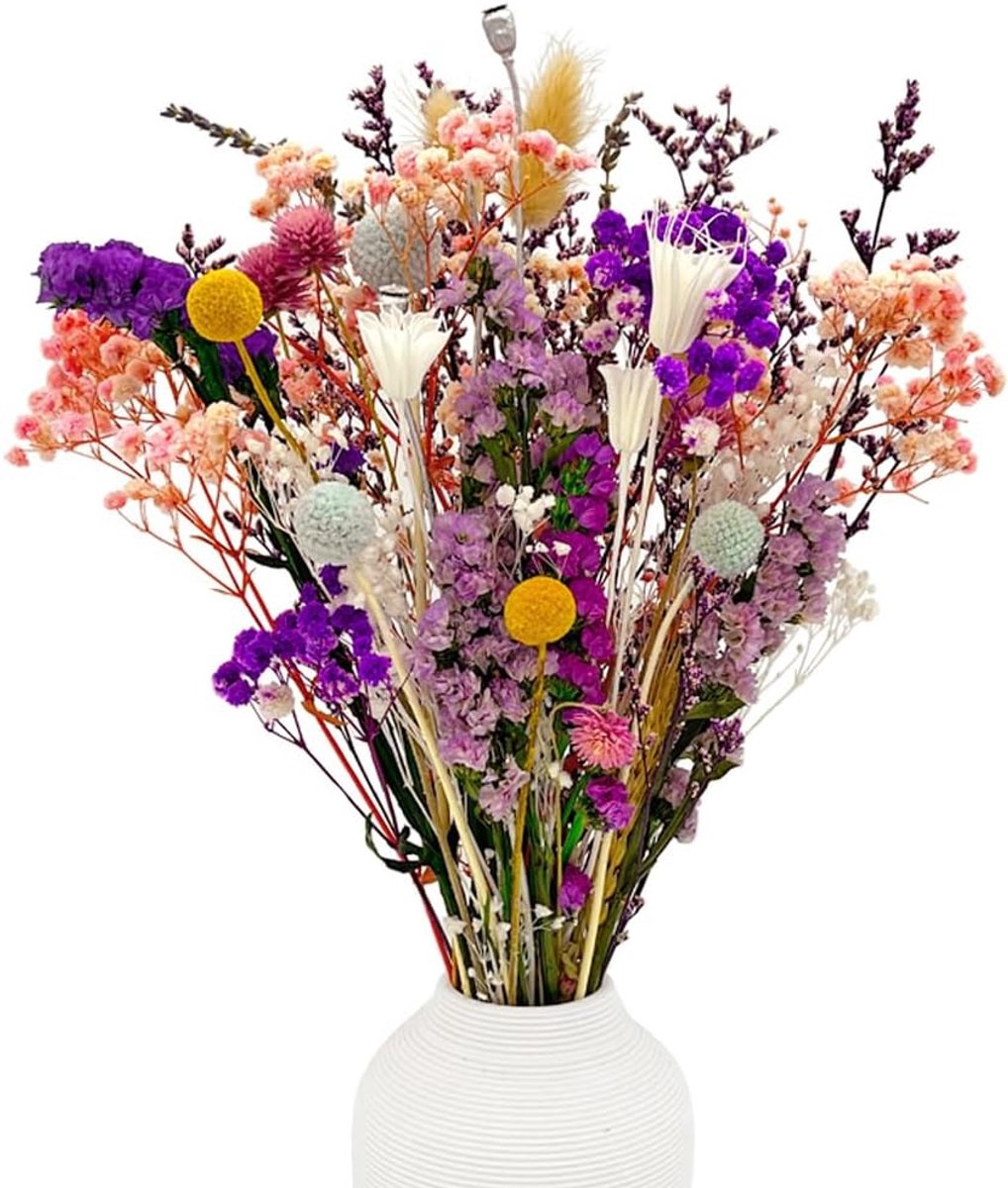 SnelShoppen - Dried Flower Bouquet - 39 Stuks - Pruim Droogbloemen Set van 15 Soorten voor Thuisdecoratie, Tafel, Boho, Natuurlijke Bloemen voor Woonk