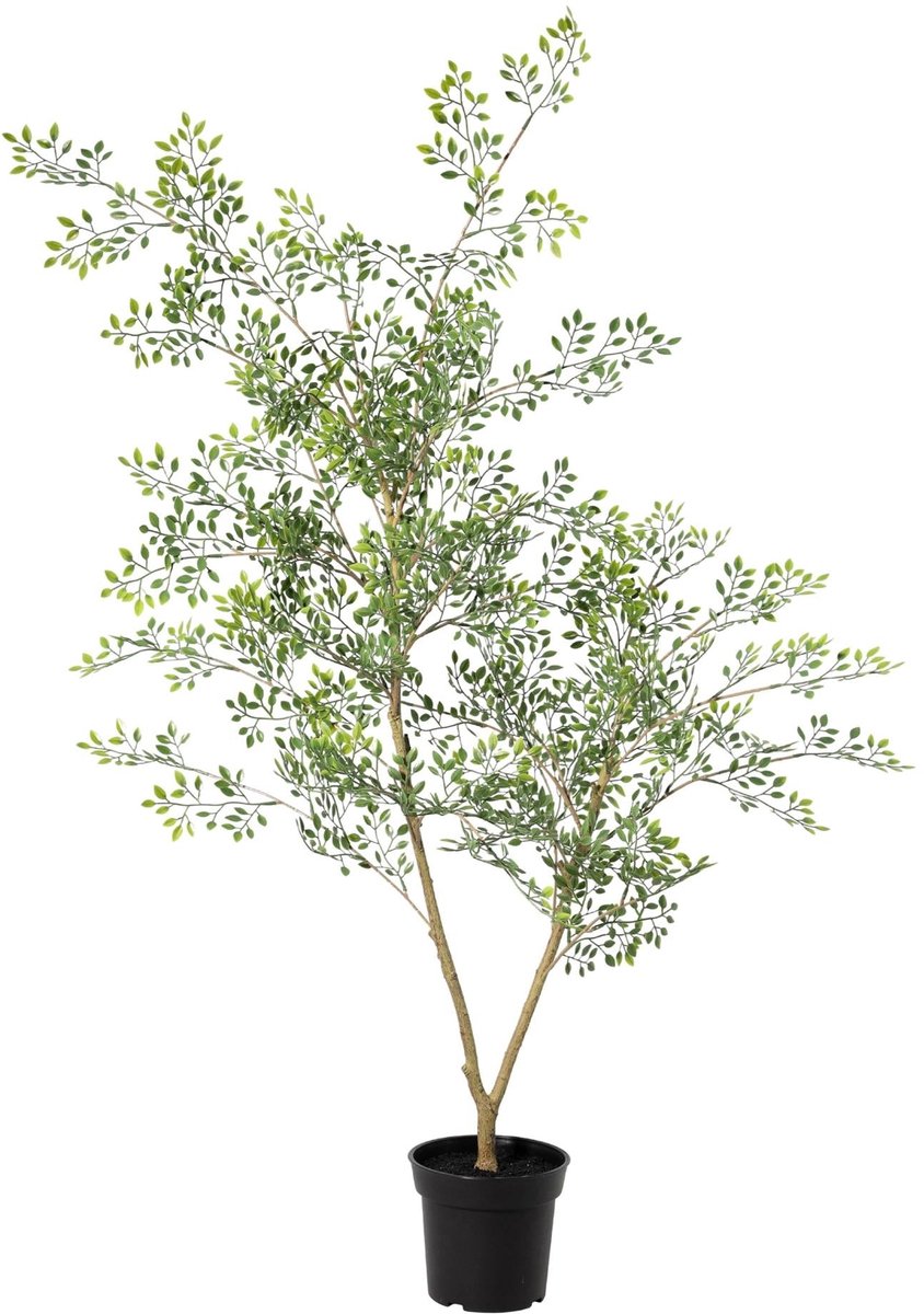 Trendyplants - Kunst Bucida - Zwarte Olijfboom - Kunstplant - Hoogte 71cm - Potmaat Ø15cm