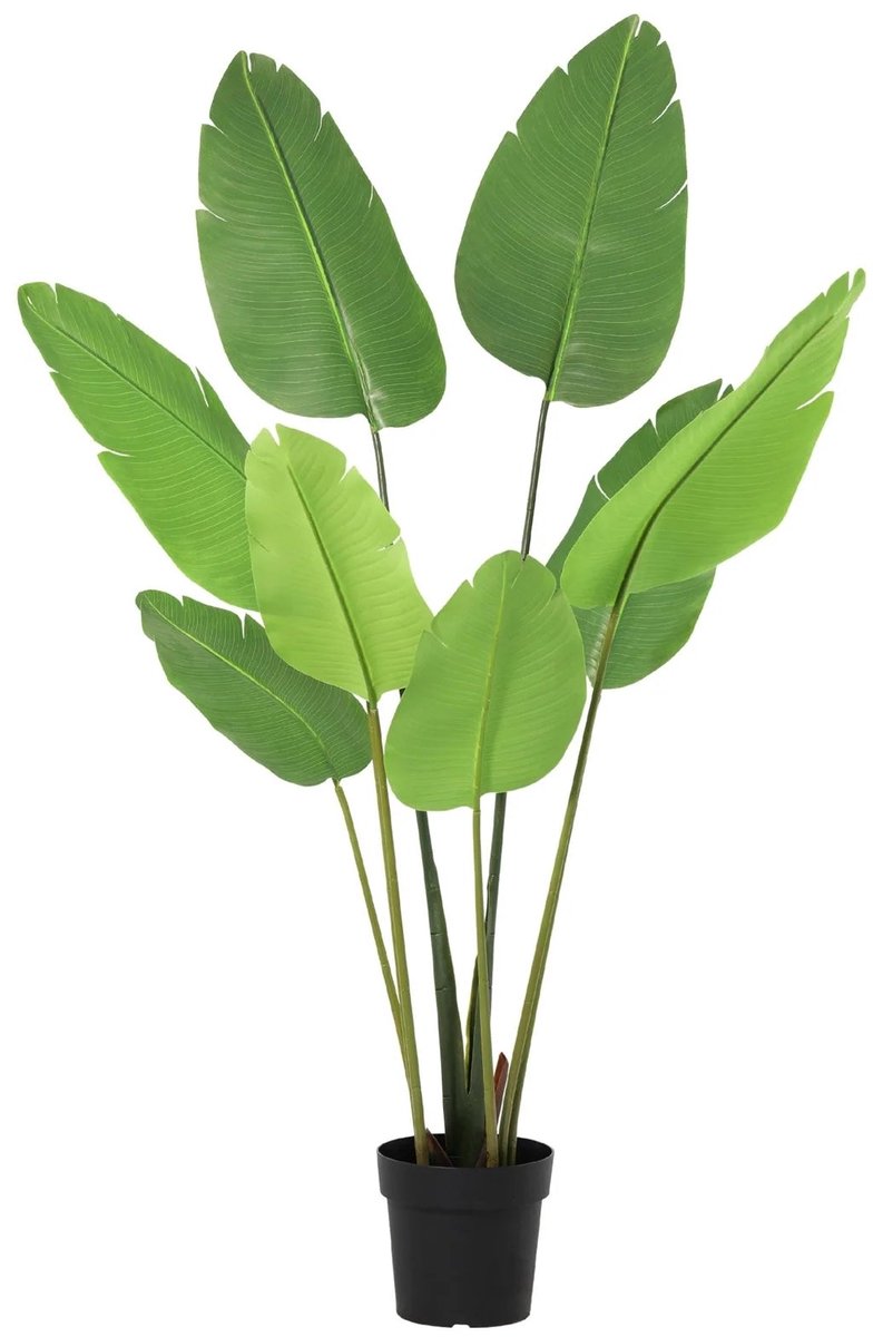 Trendyplants - Kunst Strelitzia Nicolai - Paradijsvogelplant - Kunstplant - Hoogte 153cm - Potmaat Ø21cm