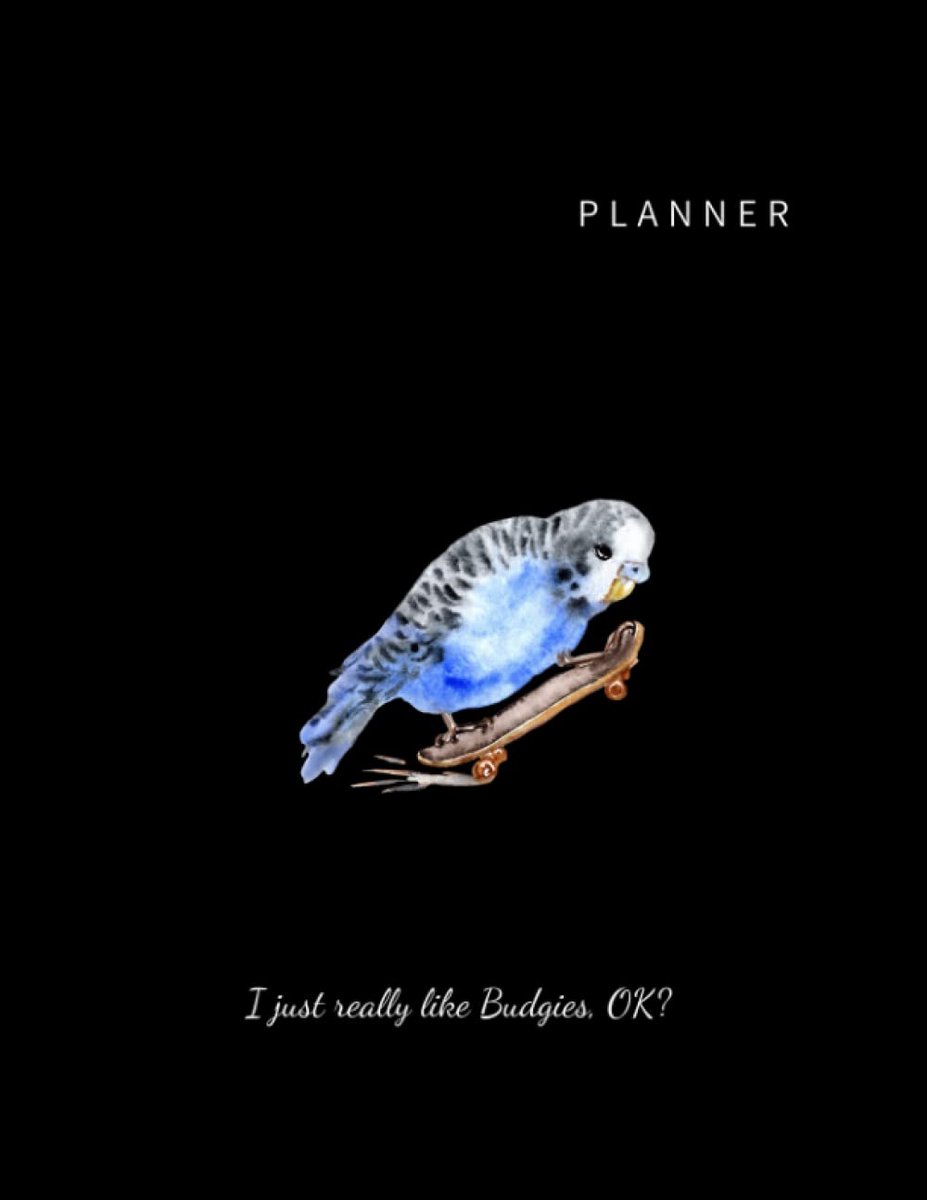 Planner: Undated Weekly Planner, Undated Planner 8.5 x 11 inches 110