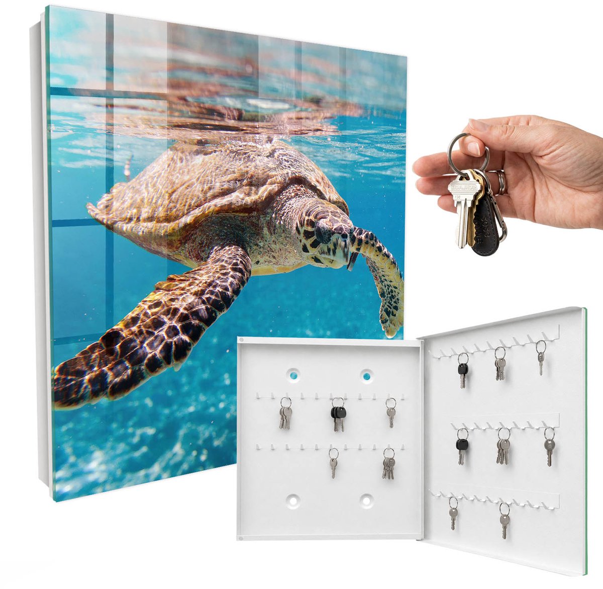 WallMuralia - Sleutelkast - 30x30x5 cm - met 50 haken - Onderwaterwereld Sleutelkastje Modern - Blauw Sleutelbox - Rechtsopenend - Wit interieur