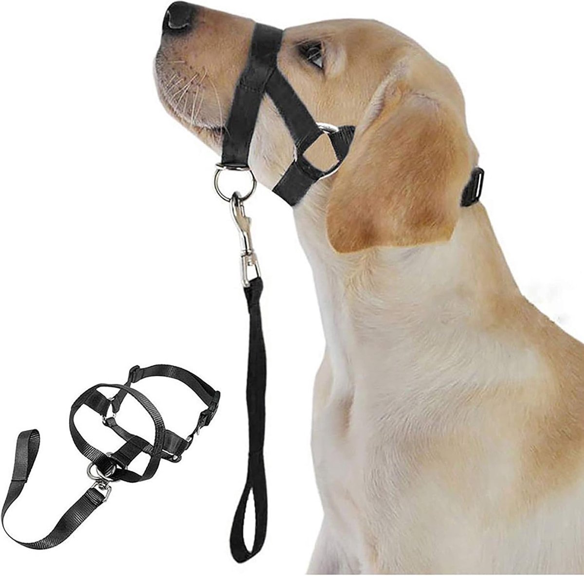 Muilkorf Voor Honden - Training Harnas Huisdier Bescherming Zwart - Voorkomt Blaffen, Bijten en Kauwen (L)