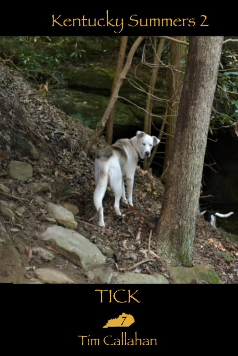 Tick