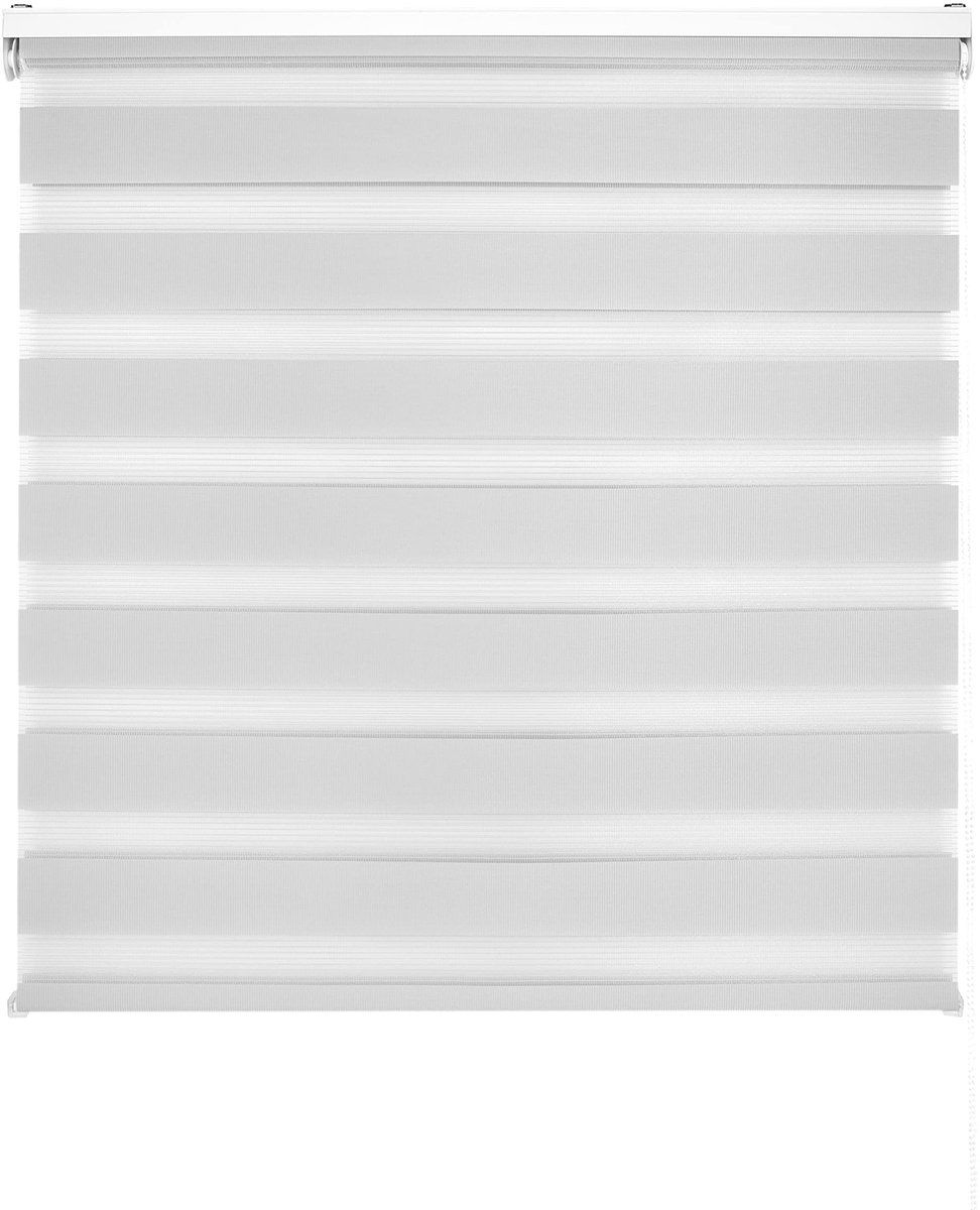 Omgoods - Dubbele Rolgordijn voor Dag en Nacht 140 x 250 cm - Grijs