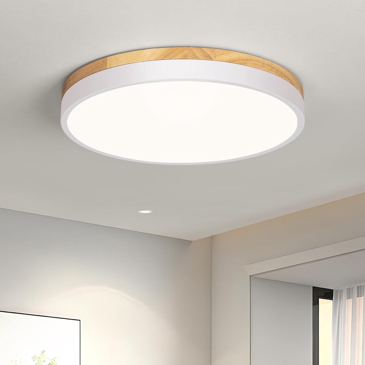 plafondlamp