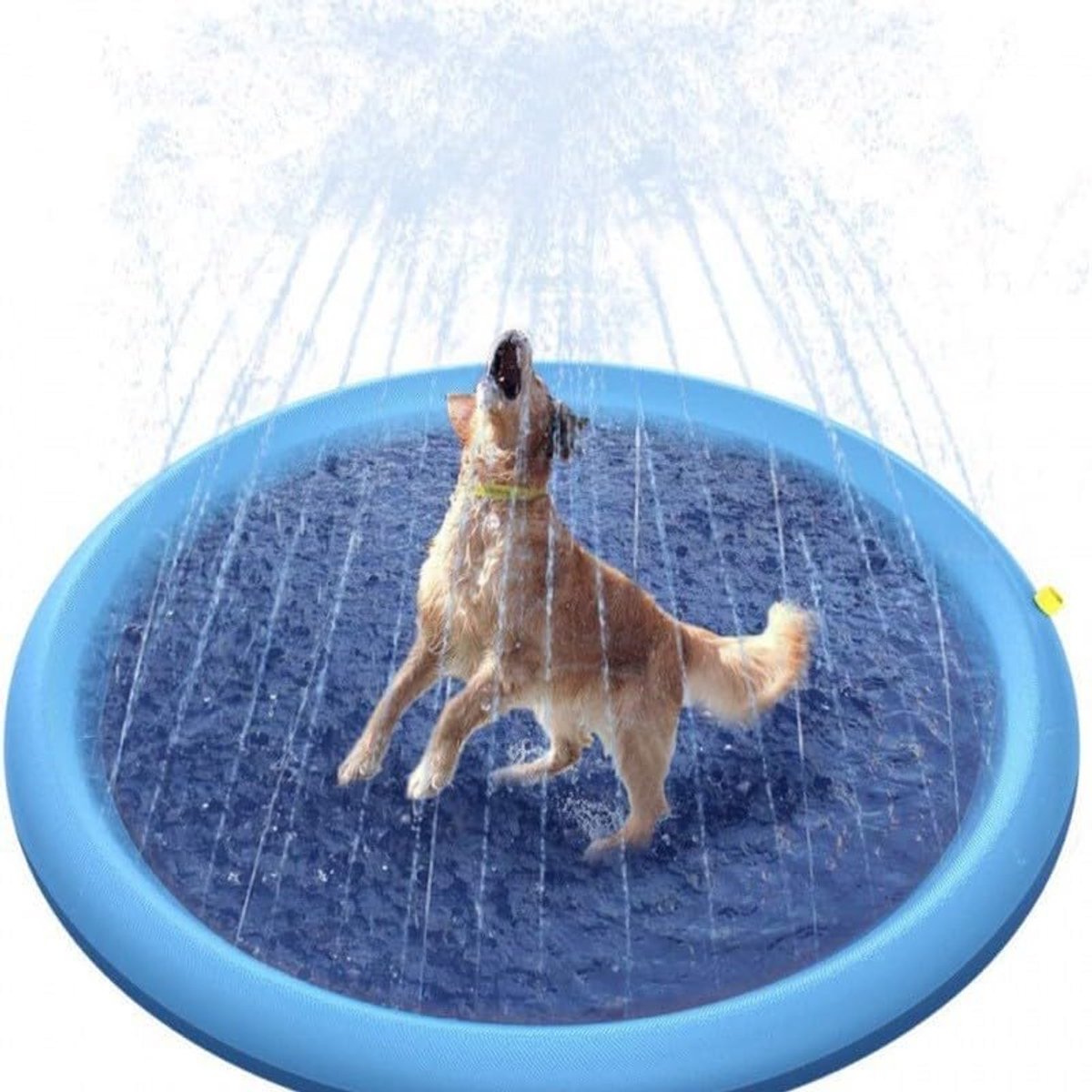 zwembad voor honden, kinderbadje voor huisdieren, opvouwbaar, speelmat, zomer, outdoor, om te strooien en te spatten, voor puppy's, kleine honden, katten (150 cm)