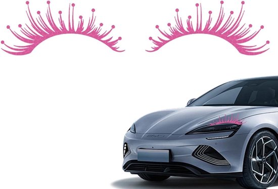 Roze autowimpers op de motorkap van een zilverkleurige auto.