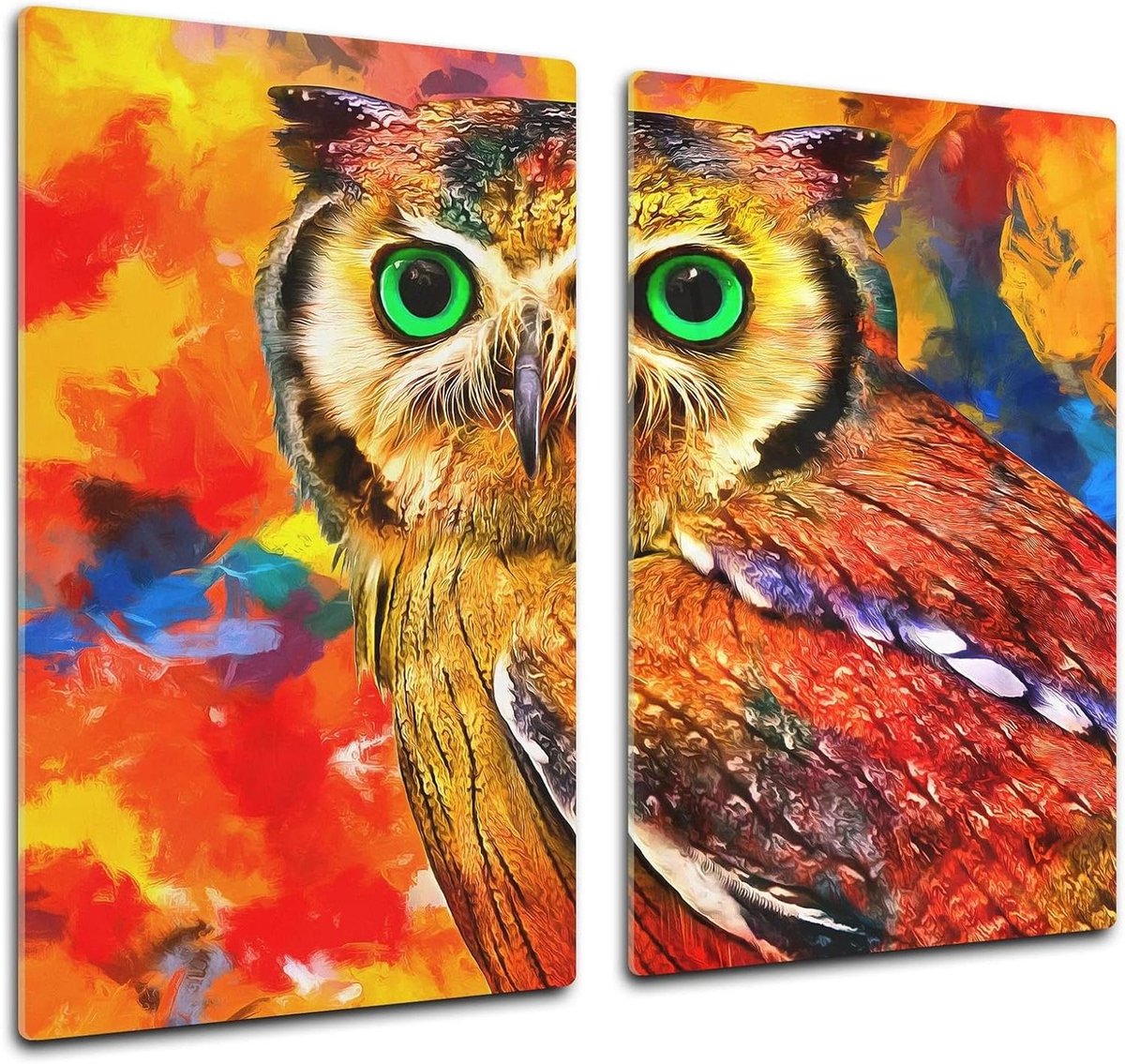 Glazen Snijplank - Keukenbord Werkbladbeschermer - Keukenwerkzaamheden - Slagvast Gehard Glas - 60 x 52 cm - Colourful owl
