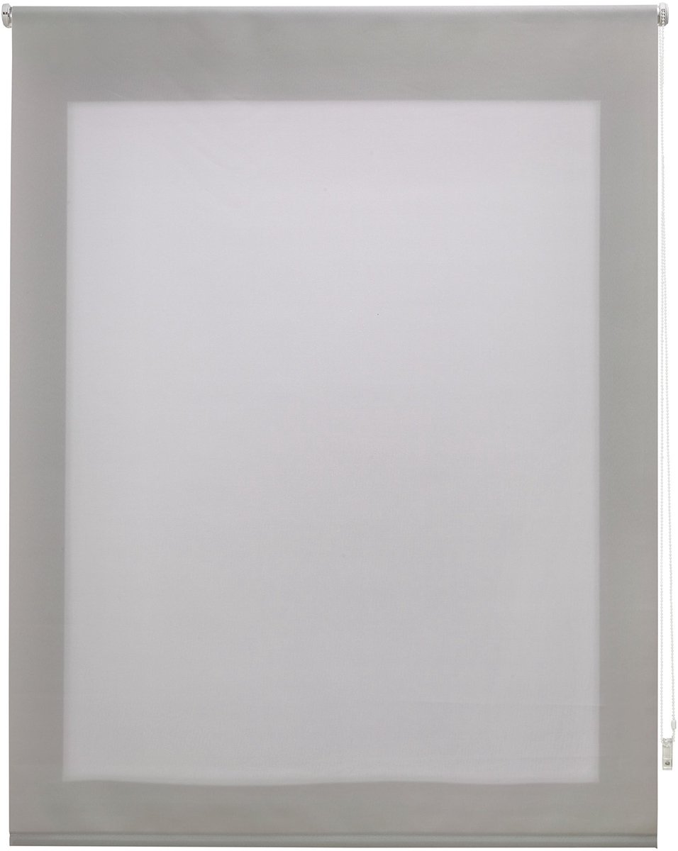Omgoods - Liso Translucent Rolgordijn - 100 x 175 cm, Zilvergrijs