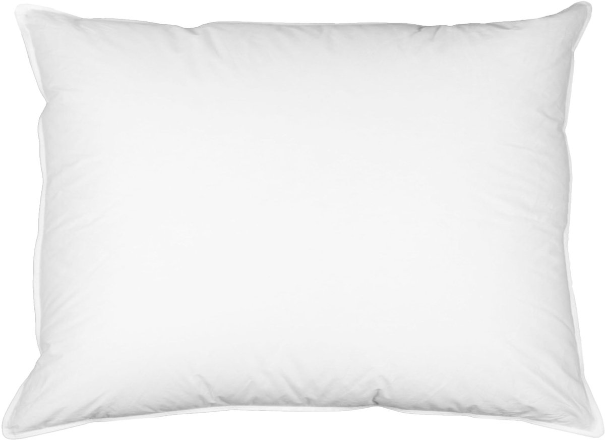 Omgoods - Luxe Hotelkwaliteit Veren Kussen 60x80 cm