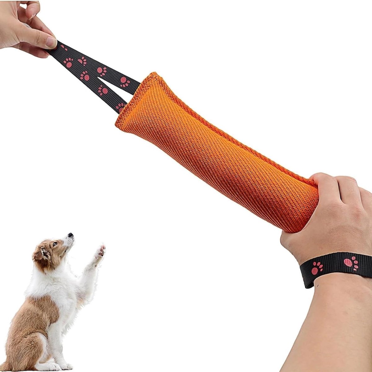 Hondenspeelgoed (30 cm), zeer robuust hondenspeelgoed met polslus, bijtworst voor honden, oranje voor training, touwtrekken en hondenplezier (oranje)