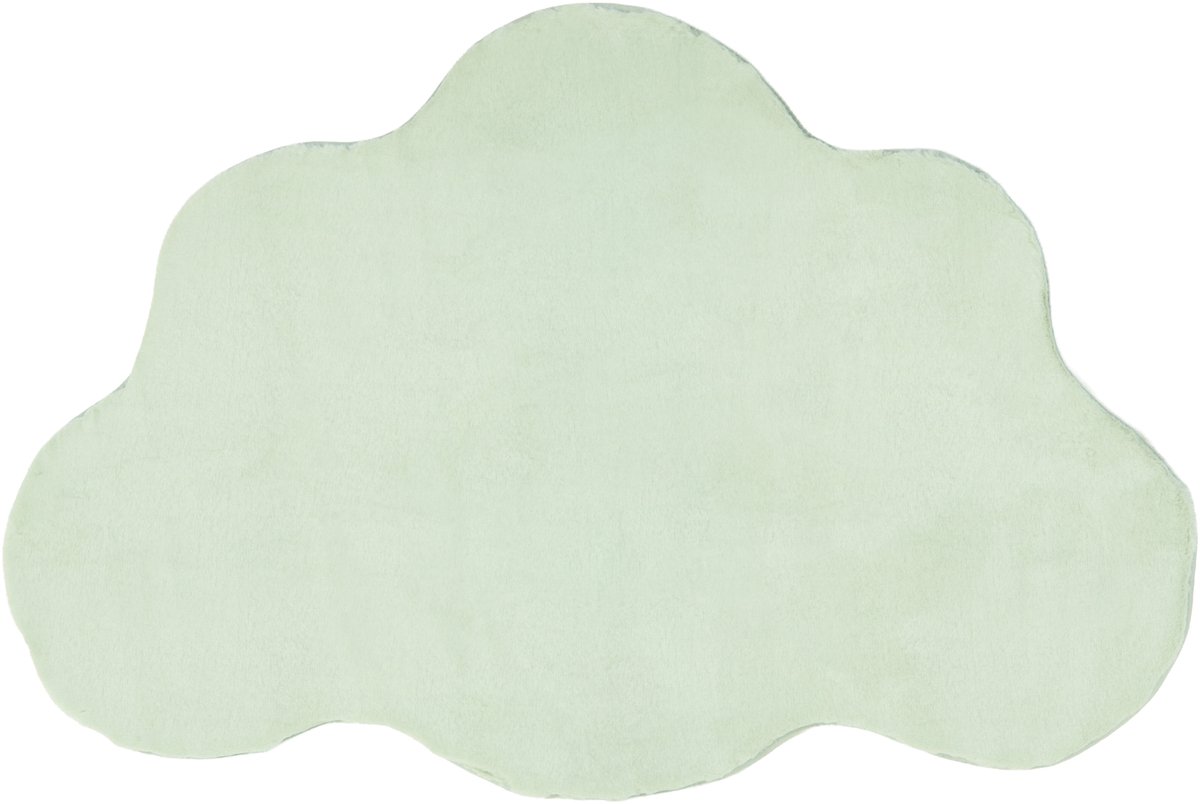 PARSON - Vloerkleed - Lichtgroen - 80 x 120 cm - Kunstbont