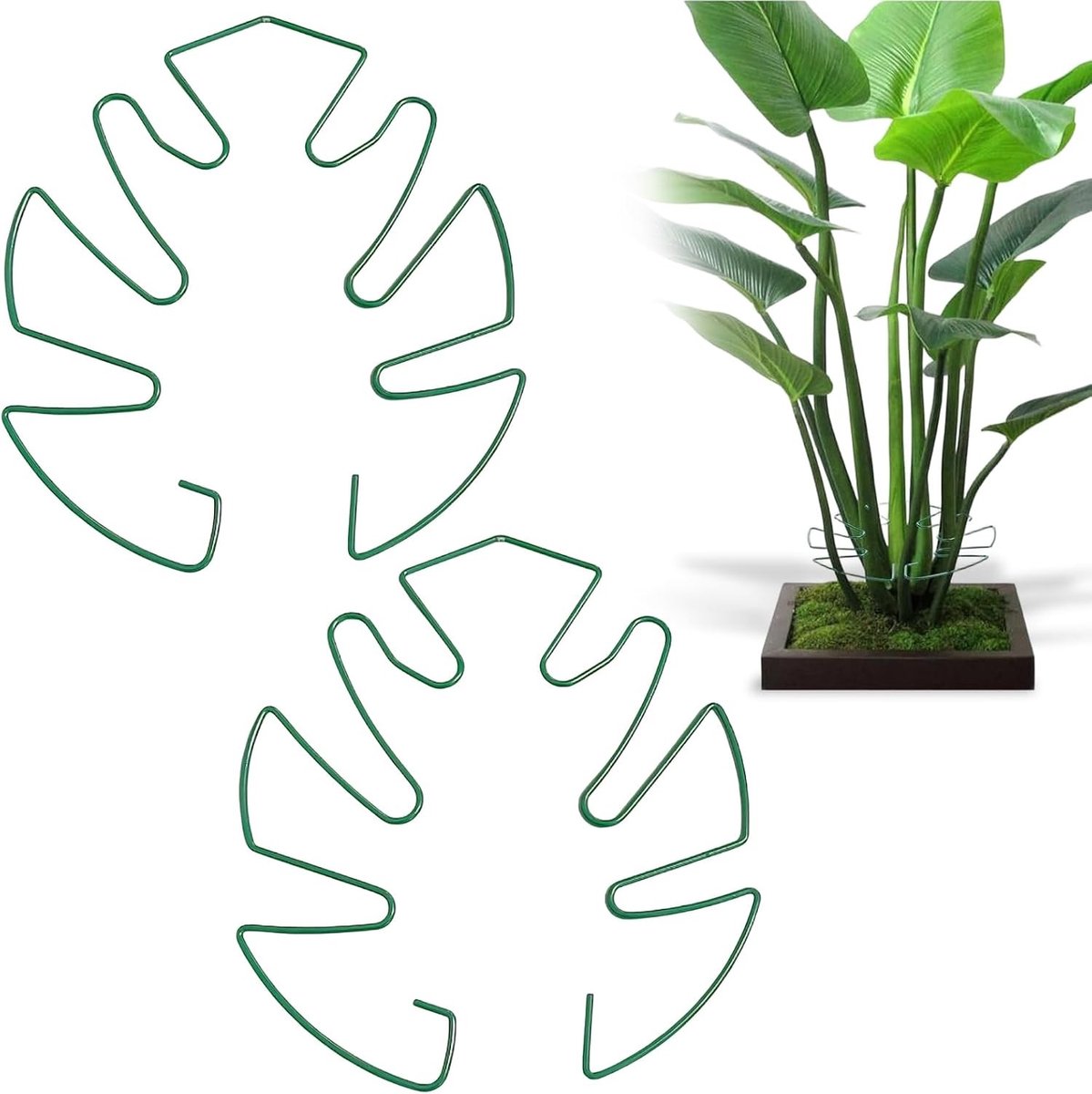 Set van 2 klimplanten met metalen plantensteunen - groen - kantelbescherming voor tomaten en monstera - ShopVlot
