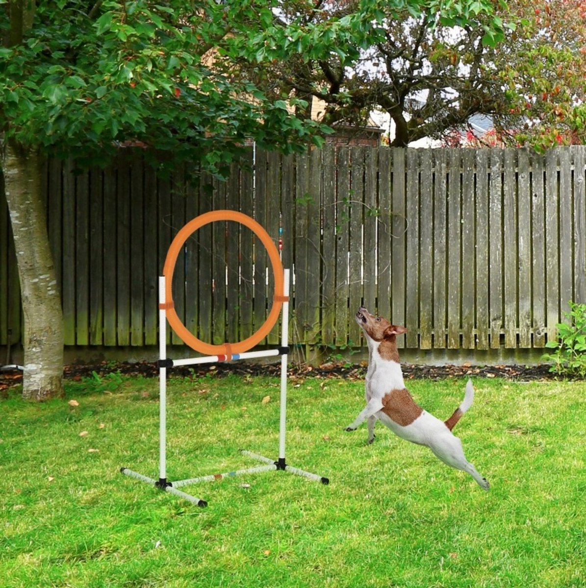 REDOM - Honden agility trainingshindernis - Springring met afneembare ring - Verstelbare hoogte - Kunststof - Wit en Oranje - 74,5 x 66 x 91 cm