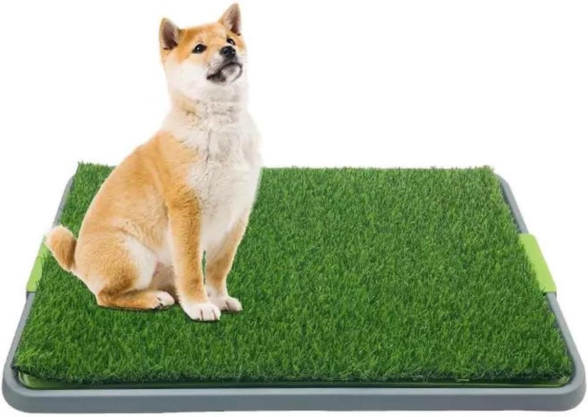 Hondentoilet Kunstgras - Honden WC Outdoor - Zindelijkheidstraining Hond - Uitneembaar Opvangbakje - 62 x 49 x 6.6 CM - Groen