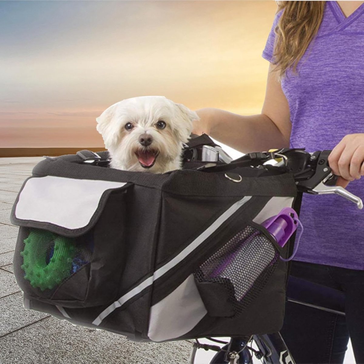 Fietsmand Hond - Draagtas Fiets - Huisdier Vervoeren - Waterdicht Oxford Stof - 38 x 27 x 26 cm - Zwart