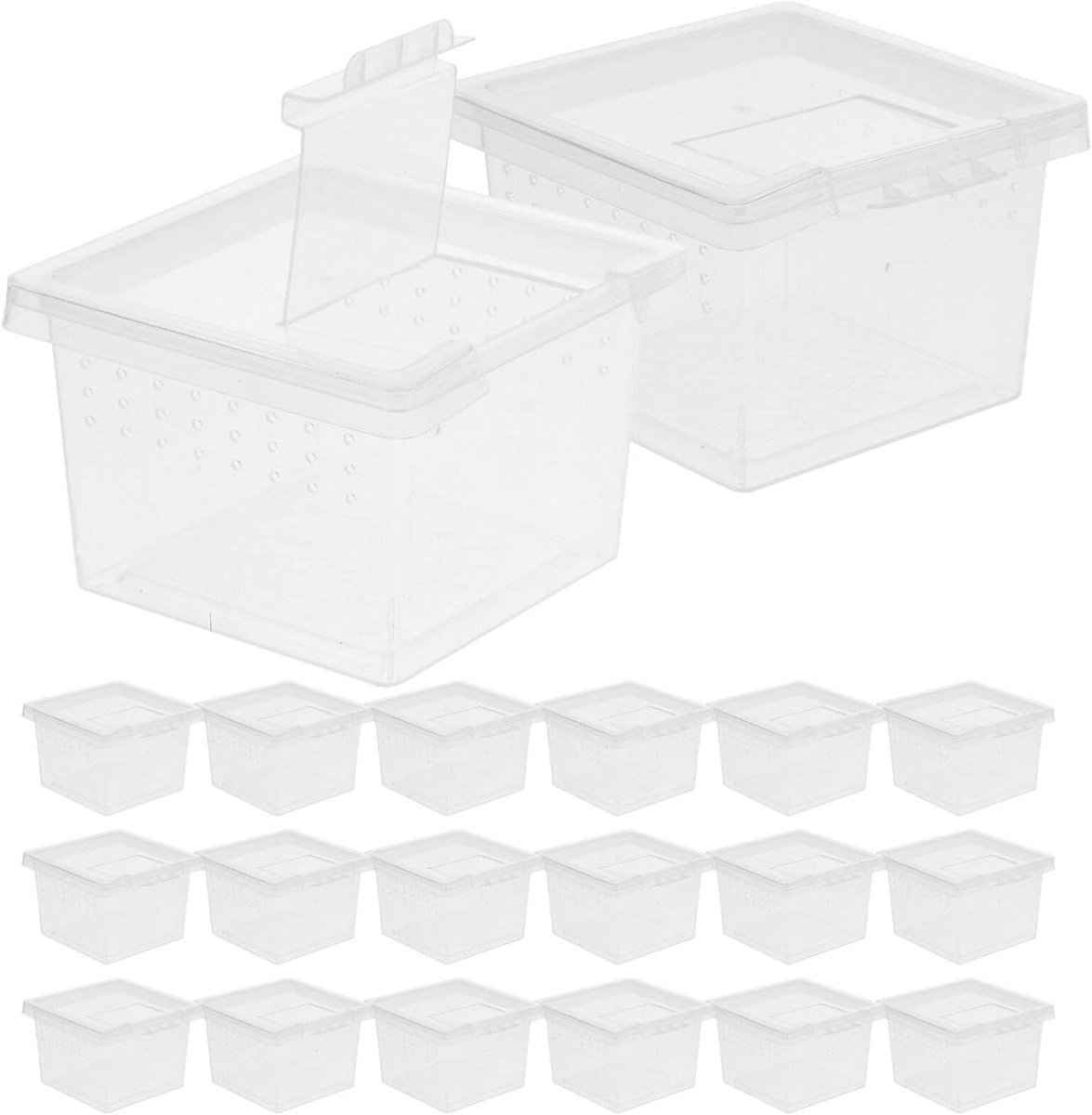 Reptielen Kweekdoos - Terrarium Container - Insecten Observeren - Met Ademend Gat - 20 Stuks - Transparant