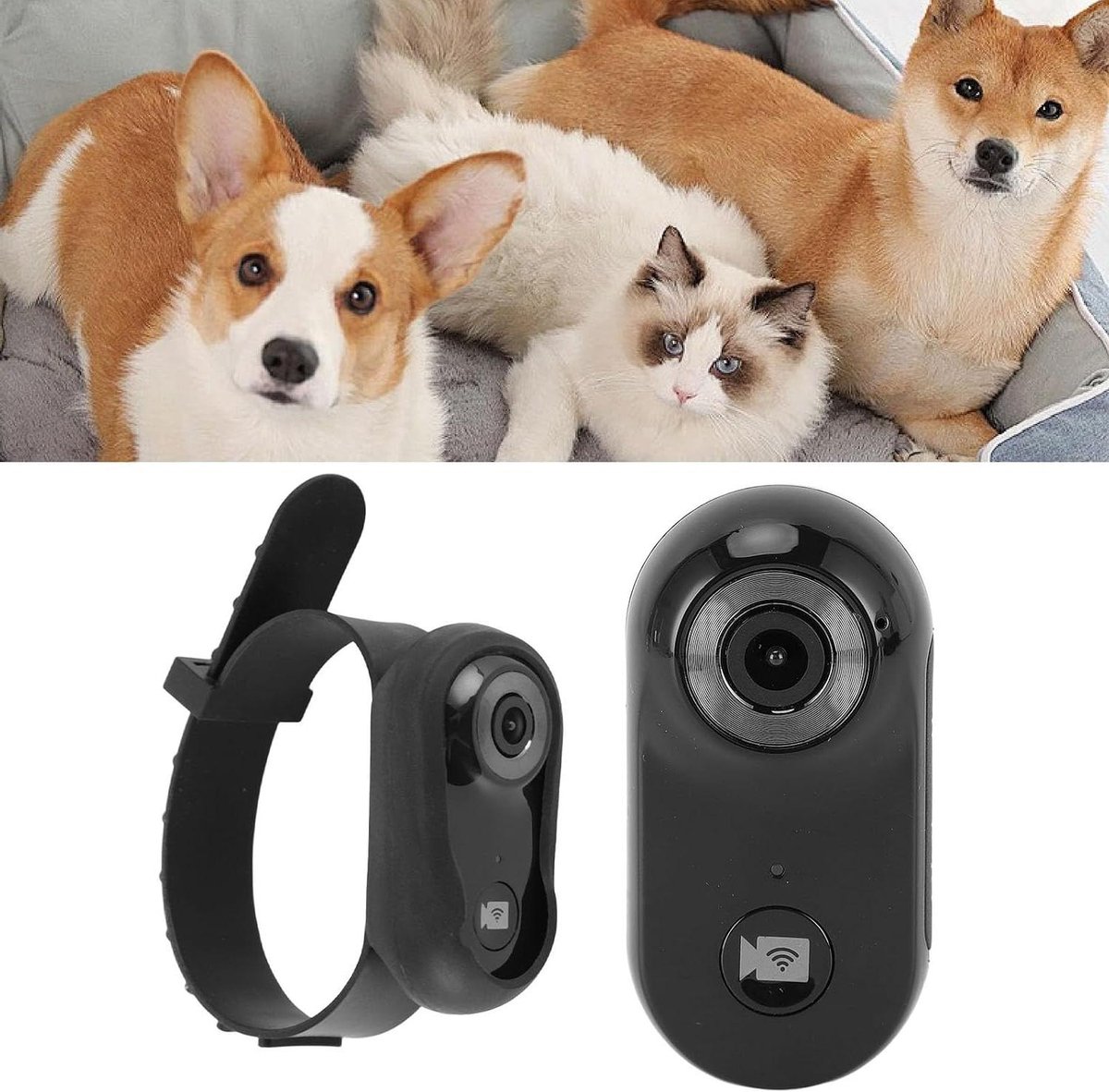 Huisdier Camera Halsband - Hond Camera Kat Camera - Huisdier Gedrag Observeren - 170 Graden Groothoeklens - 1.0 Stuk - Zwart