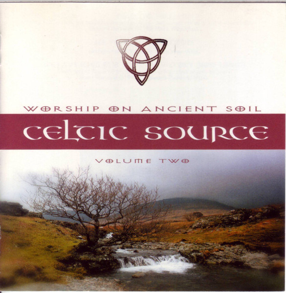 Celtic Source 2