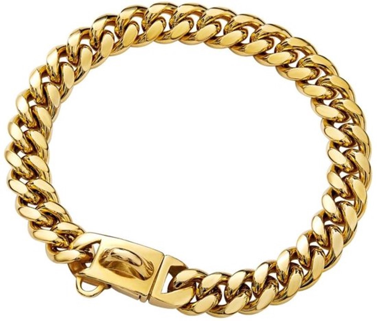 Hondenhalsband Roestvrij Staal - Hondenhalsband Ketting - Gouden Hondenhalsband - Verstelbare Maten - Duurzaam - Geschikt voor Puppy’s en Kleine Honden - Halsband