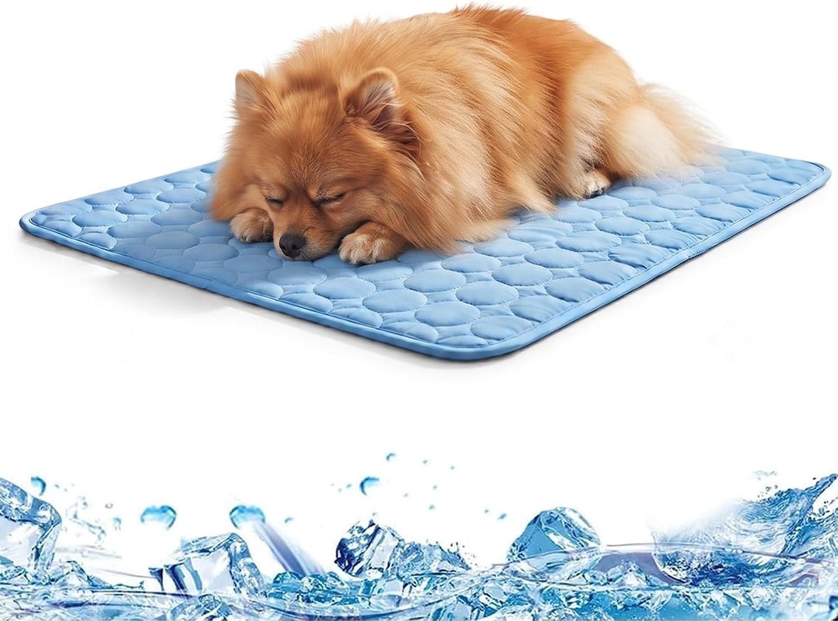 Deken voor auto-achterbank - Blauw - 50 x 40 cm - Zelfverkoelende koelmat van PE-ijszijde - Voor kleine honden en katten