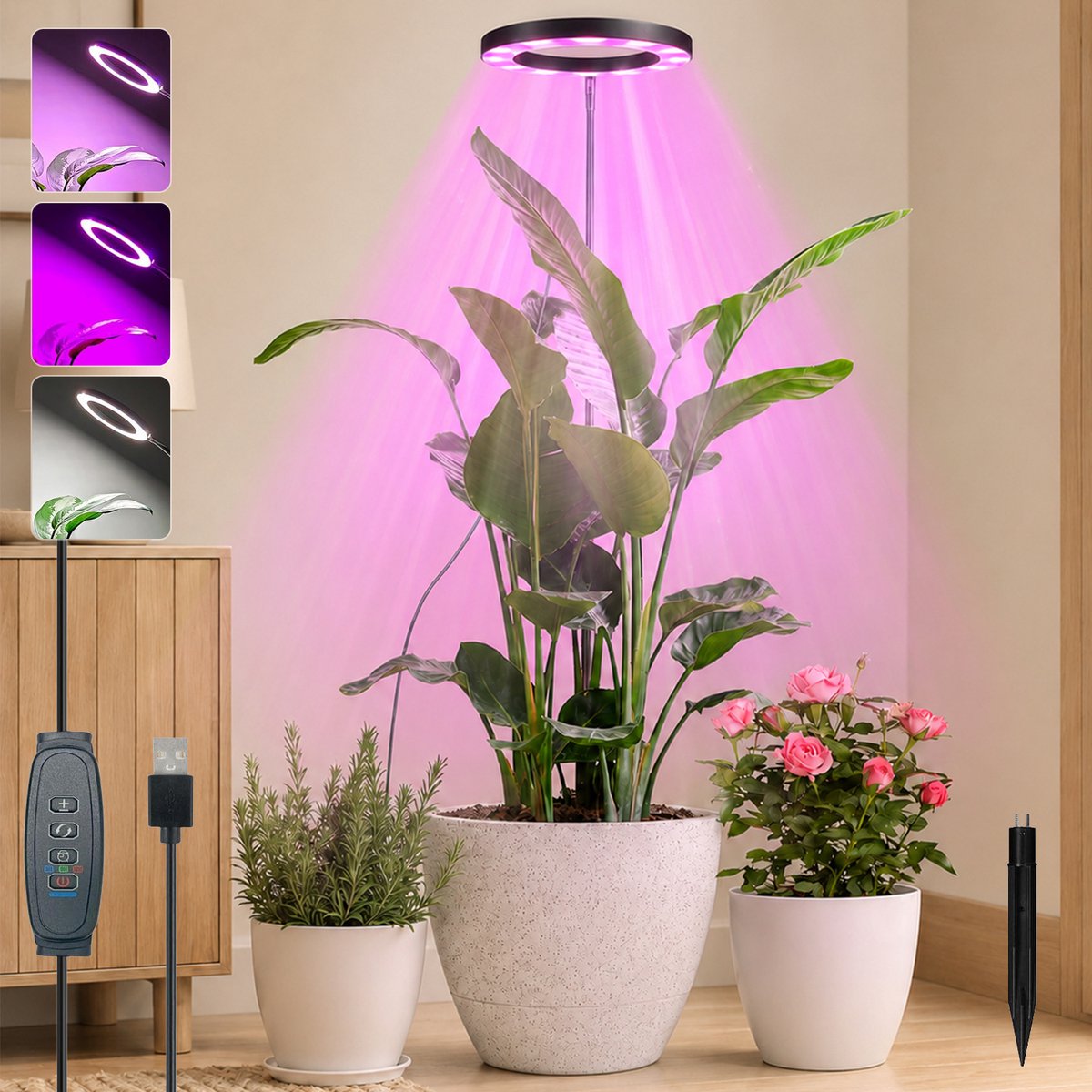 Rosnek LED Kweeklamp - Full Spectrum Groeilamp voor Planten - Dimbare Ringlamp met Timer 3/9/12 uur - In Hoogte Verstelbare Plantenlamp voor Grote en Kleine Kamerplanten - USB - Zwart