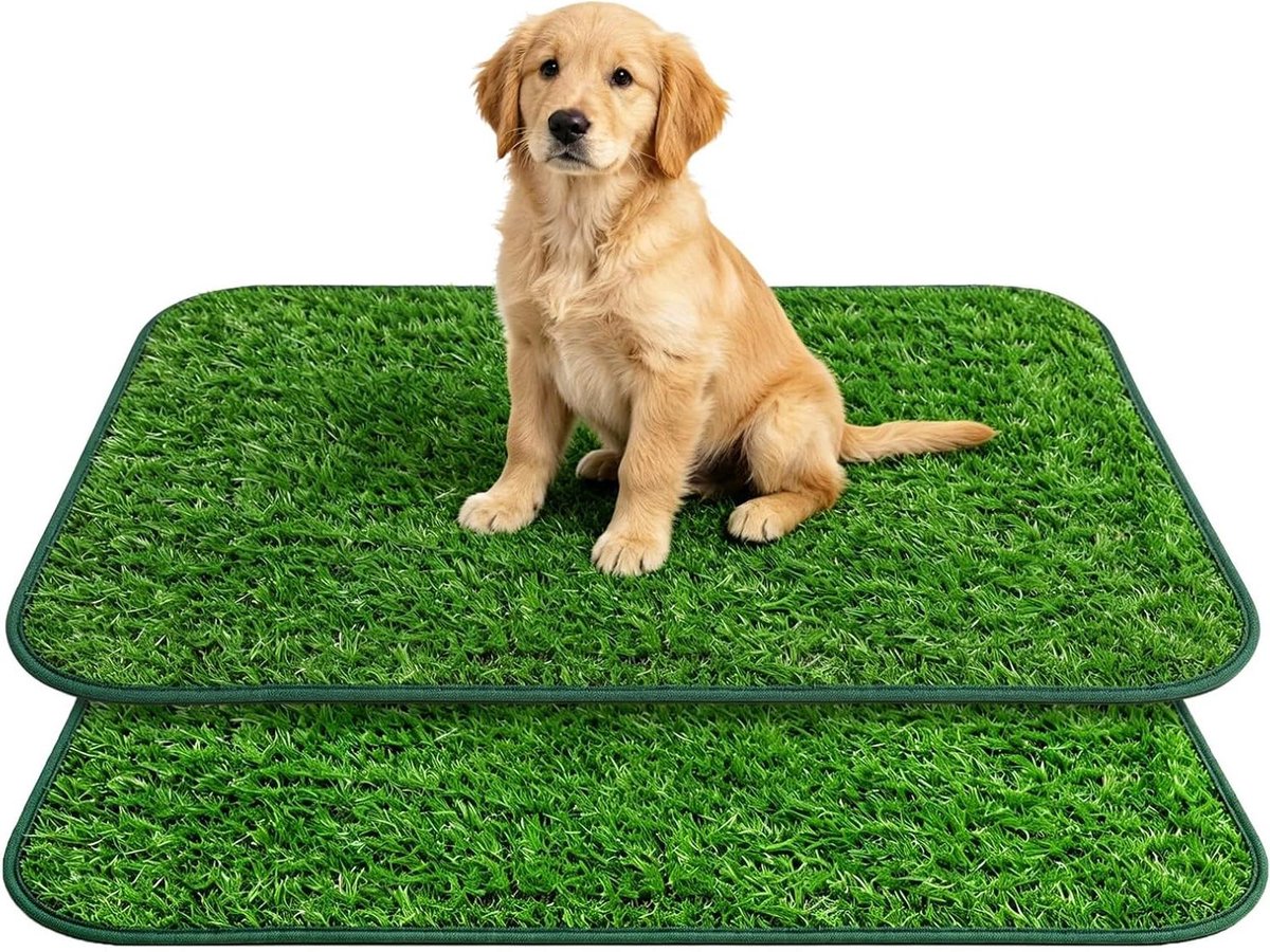 Kunstgras Hondentoilet - Hondenplasmat Puppy Trainingsmat - Zindelijkheidstraining Honden - Snelle Afwatering Systeem - 46 x 58 cm - Groen
