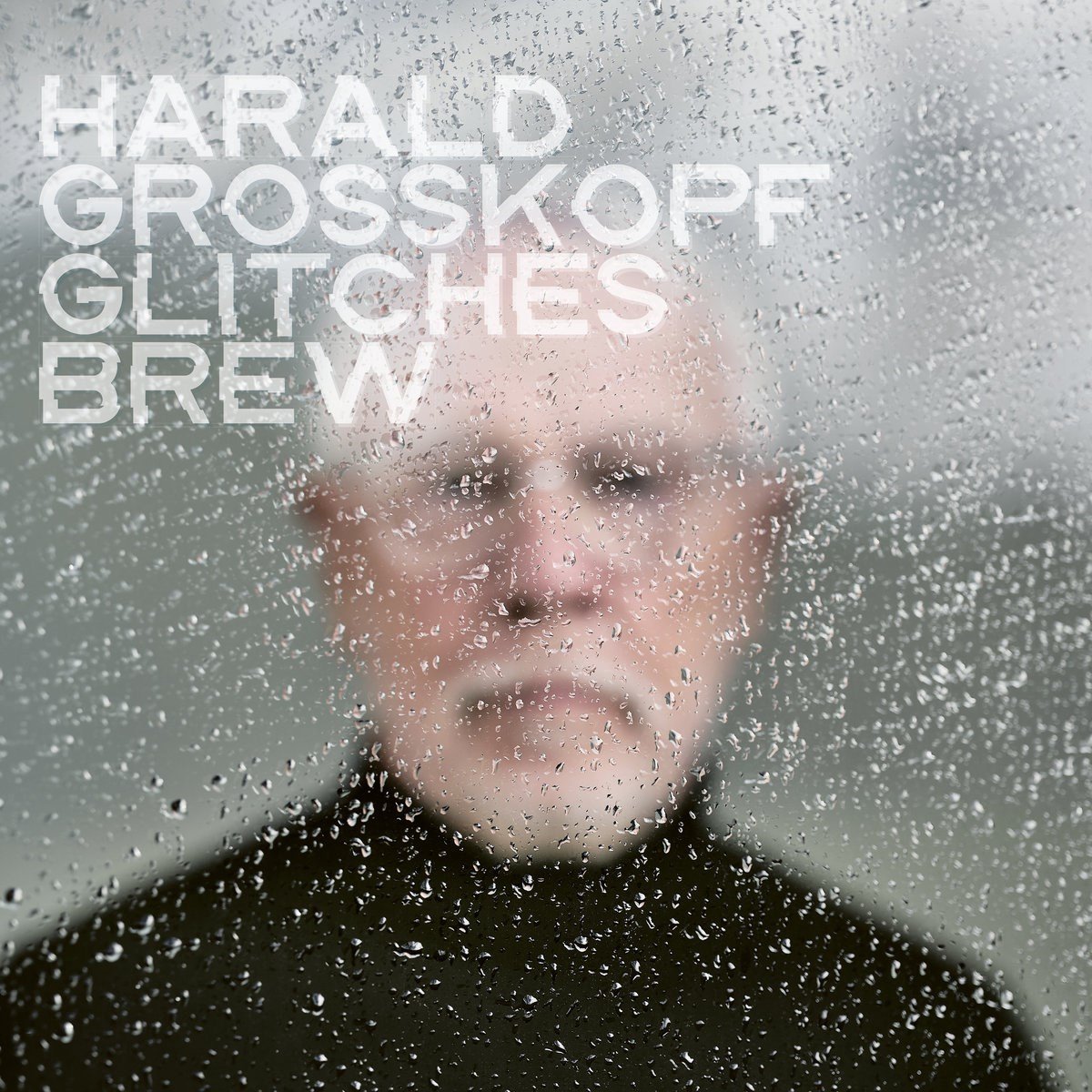 Harald Grosskopf - Glitches Brew (CD)