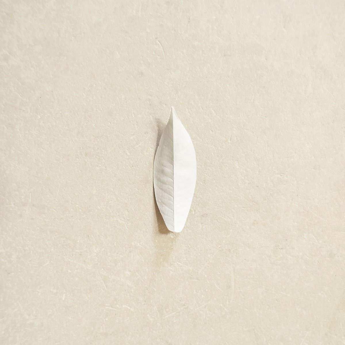 Sylvain Chauveau - The Complexity Of The Simple (LP)