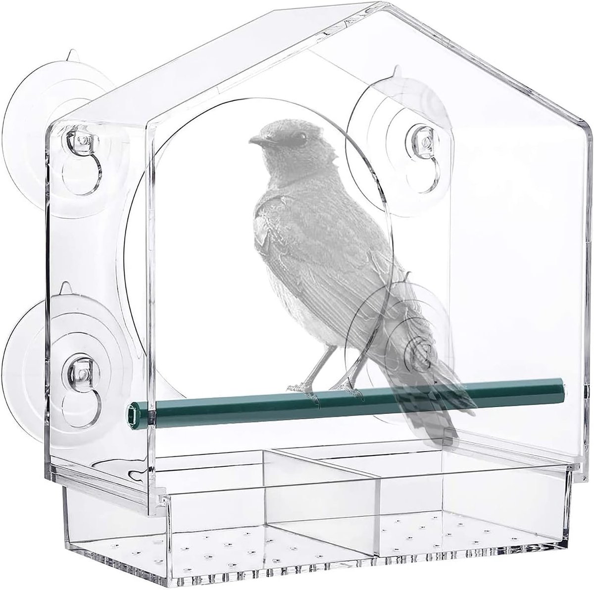 Grote Venster Voederhuis voor Vogels met Sterke Zuigkracht, Afneembare Zaadlade en Afvoergaten voor Voeding van Kleine Wilde Vogels zoals Dunnock, Pimpelmees en Roodborst, 21cm x 20cm x 10cm